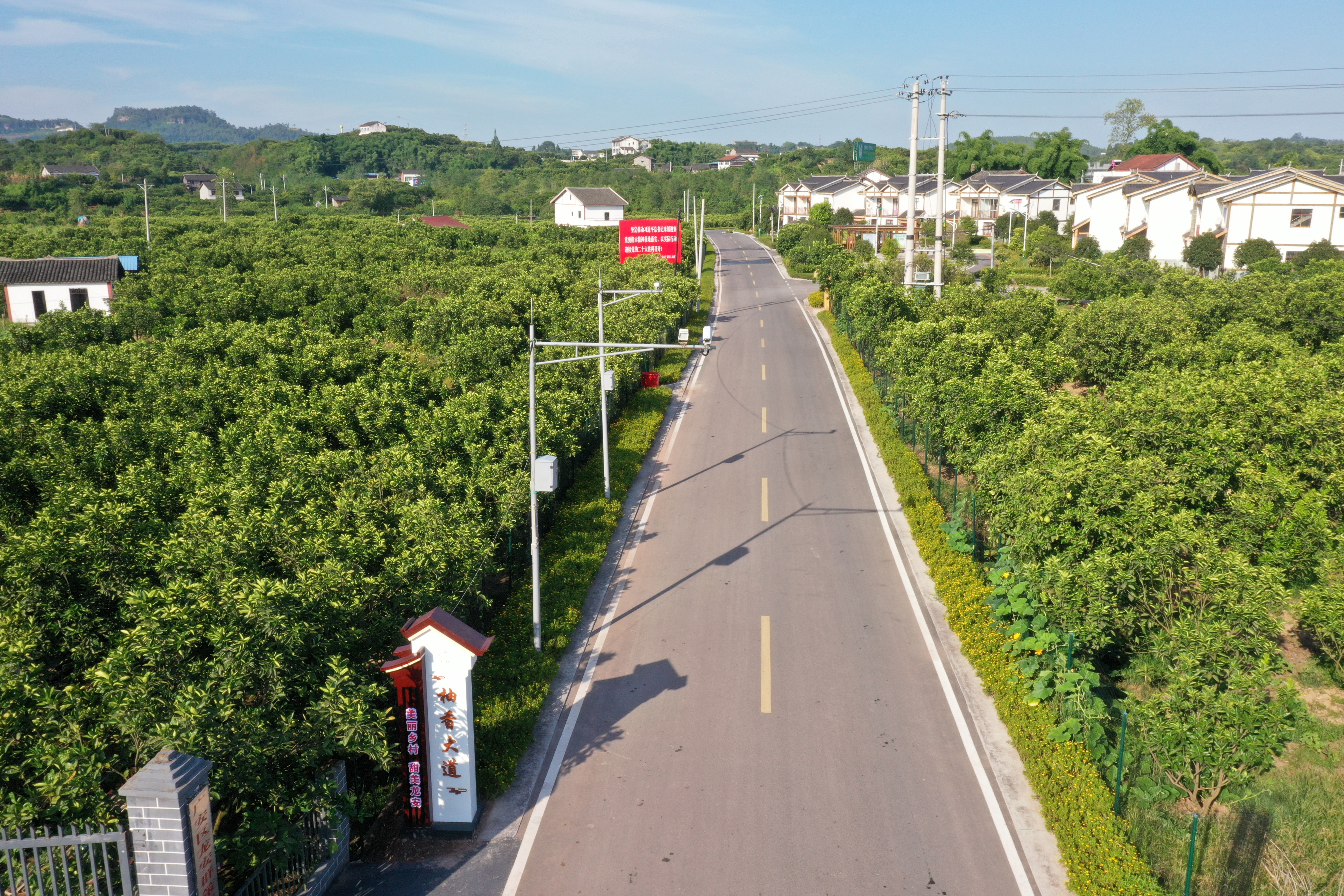 广安区龙安乡园区变景区乡村美如画